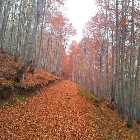 Apartamentos Turisticos Real Valle Ezcaray ソラキン エクステリア 写真